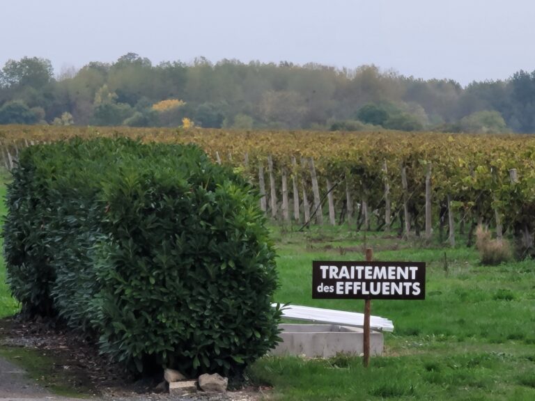 Students from 786-Bartend a Bartending School in Miami that actually travels visiting a vineyard in Cognac, France, learning about cognac production amidst grapevines and distillery equipment.
