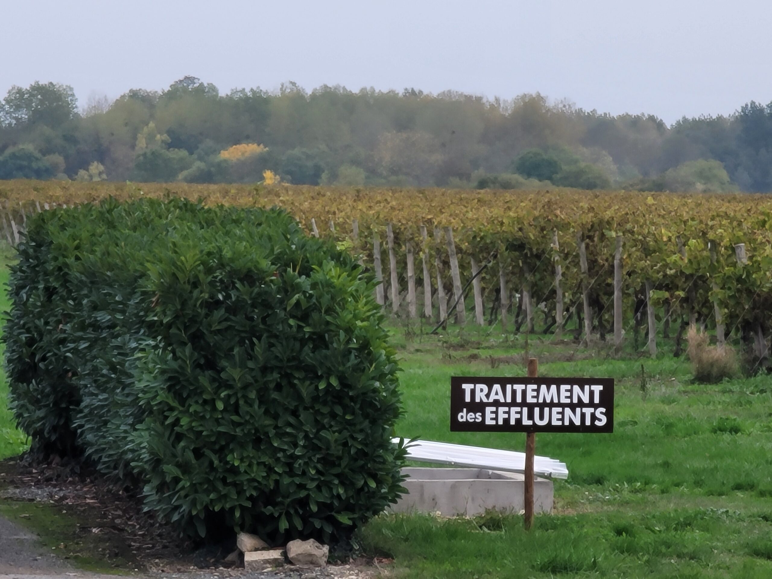 Students from 786-Bartend a Bartending School in Miami that actually travels visiting a vineyard in Cognac, France, learning about cognac production amidst grapevines and distillery equipment.