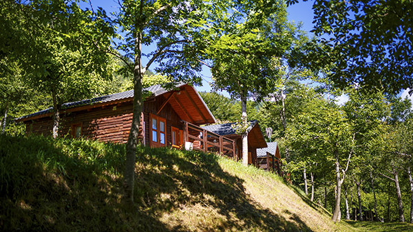La disposición del camping