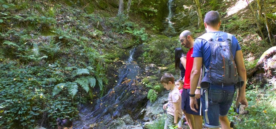 Actividades en el Bedura Park