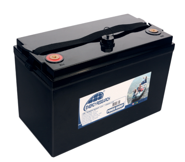 LiFe PO4 Batterie 12V 50 AH