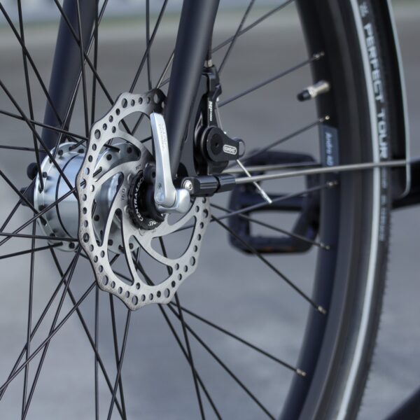 Brik Pendix Man bicicleta eléctrica motor central correa de carbono