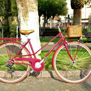 Bicicleta Clásica