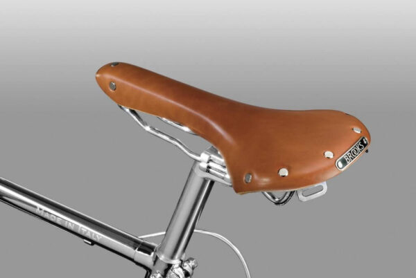 Cigno Man Sport