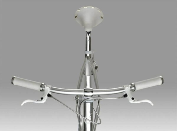 Cigno Veloce