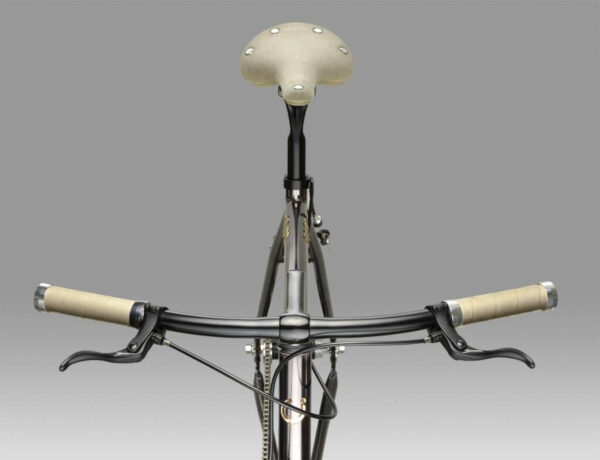 Cigno Veloce