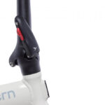 Tern