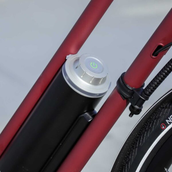 Brik Pendix Man bicicleta eléctrica motor central correa de carbono