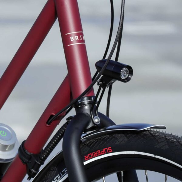 Brik Pendix Man bicicleta eléctrica motor central correa de carbono