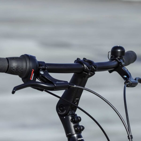 Brik Pendix Man bicicleta eléctrica motor central correa de carbono