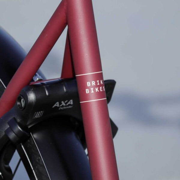 Brik Pendix Man bicicleta eléctrica motor central correa de carbono