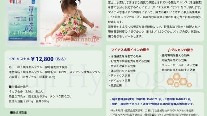 子ども向けにデザインされたこの活気に満ちたチラシは、富士山水素（Made In Japan）の素晴らしさを美しく組み込んだ魅惑的で魅惑的な本を宣伝するものです。Made In Japan の作品で 1 個。