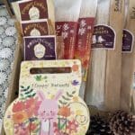 Set Acorn Các loại - Mang lại sức khỏe và sự ngon miệng