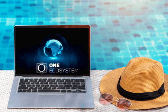 Рядом с соломенной шляпой возле бассейна стоит ноутбук с надписью «One Ecosystem».