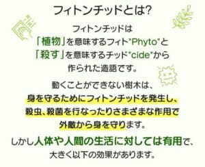 Infografica verde e testo giapponese che descrive i "phytoncides", che sono sostanze naturali rilasciate dalle piante per proteggersi da insetti e batteri, e sono anche benefiche per la salute umana. Enfatizza il repellente rilassante per insetti e l'effetto di questi composti.