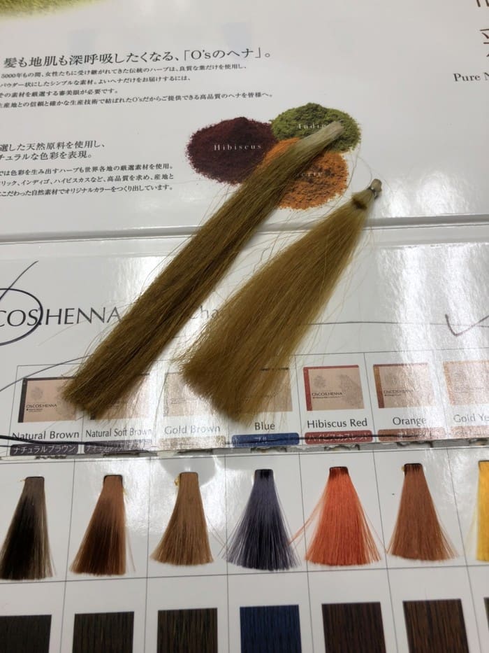 Two samples of hair dyes are featured in the booklet, which features a variety of color options, including natural brown, golden-brown, blue, hibiscus red, and orange. Perfect for those who want to refresh their style with this must-have set.