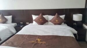 ベッド 2 台が備わるホテルの客室。茶色の枕と「Antila Hotel」というラベルの付いたベッドランナーが付いています。ナイトスタンドにはベッドサイドランプと電話があり、このデラックスルームに居心地の良い雰囲気を与えています。絵のように美しい窓からの眺めとともに、静かな雰囲気をお楽しみください。