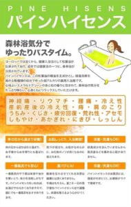 A promotional poster with Japanese characters of "Pine Hisense" with the image of a person relaxing in a green bath. Available in convenient packet packaging, we will show you the benefits and uses of this pine-scented medicinal bath salt.