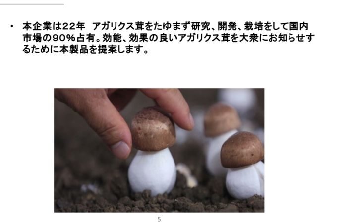 土の中で繁殖している小さな茶色のキノコに優しく触れている手のクローズアップ。白い背景に日本語の文字が添えられている。この興味深い菌類は済州で見つかった独特の菌株を彷彿とさせるかもしれない。.