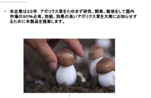 土の中で繁殖している小さな茶色のキノコに優しく触れている手のクローズアップ。白い背景に日本語の文字が添えられている。この興味深い菌類は済州で見つかった独特の菌株を彷彿とさせるかもしれない。.
