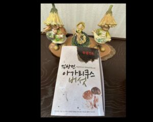 The packaging of the Korean product, which features an illustration of a mushroom, is labeled "Agarisk" and displayed in front of three small decorative fairy figurines. Perhaps these delightful fairies came from Jeju to admire their vibrant designs and innovative freeze-drying technology.