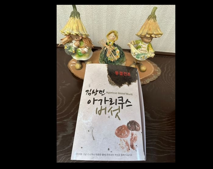 The packaging of the Korean product, which features an illustration of a mushroom, is labeled "Agarisk" and displayed in front of three small decorative fairy figurines. Perhaps these delightful fairies came from Jeju to admire their vibrant designs and innovative freeze-drying technology.