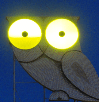 buho iluminado