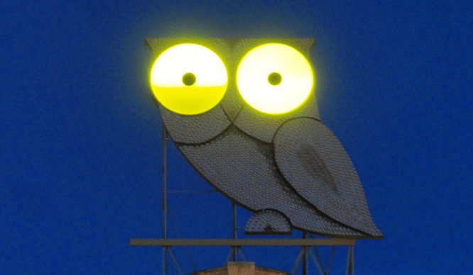Buho de la diagonal