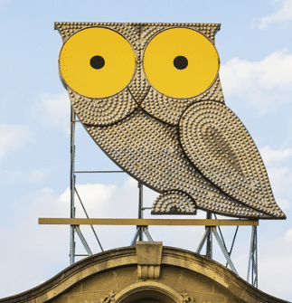 Buho de la diagonal