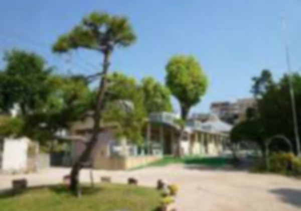 幼稚園