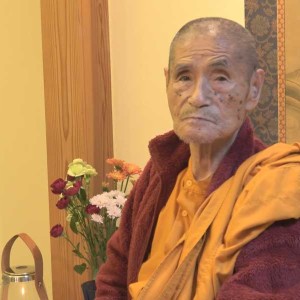 佐々井上人 個人面談