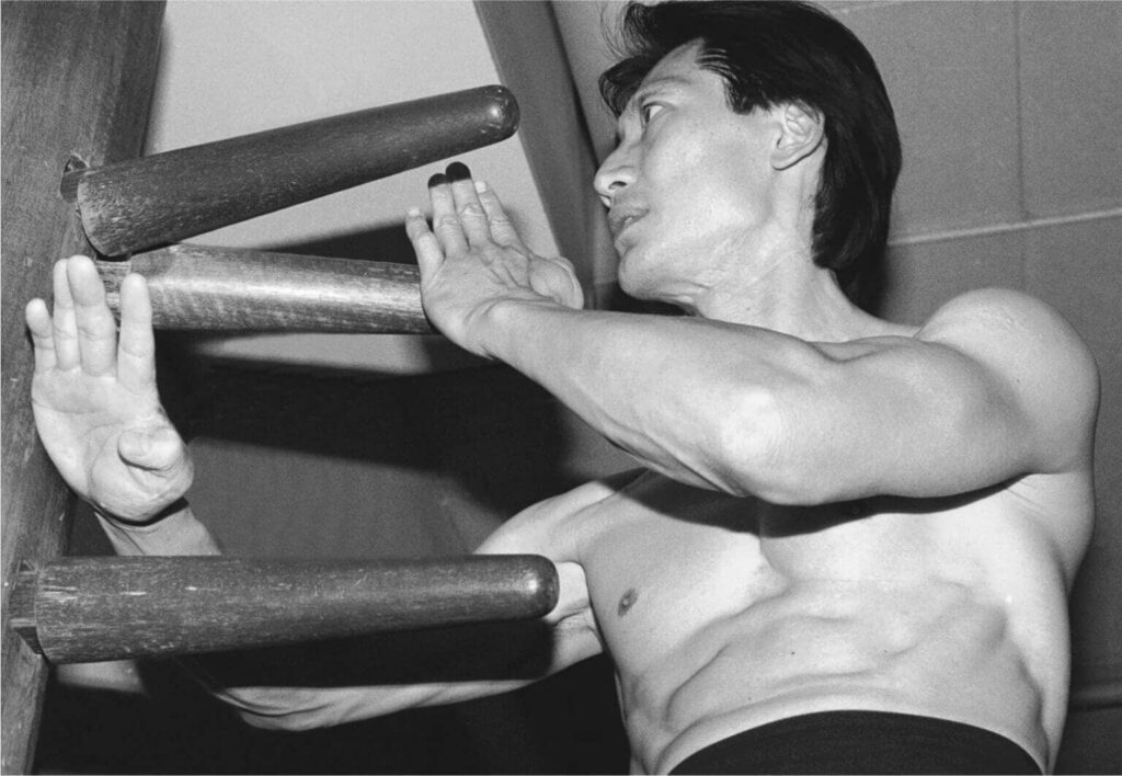 Kämpfe wie Ip Man