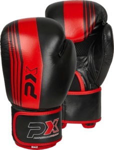 Sanda Boxhandschuh von PHOENIX Budosport auf www.pxstore.ch